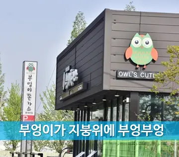 부엉이돈가스 서천점