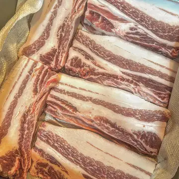 도야지회고록