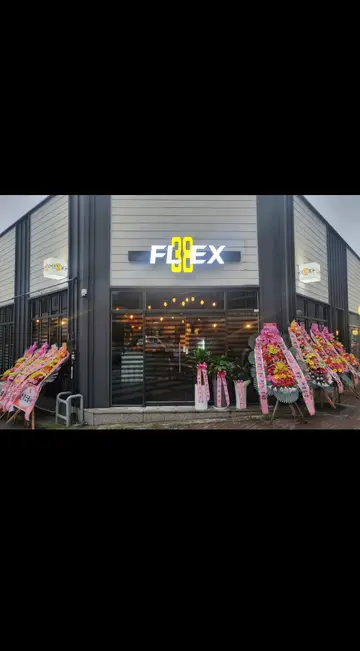 플렉스38