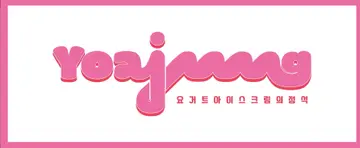 요거트아이스크림의 정석 안동점