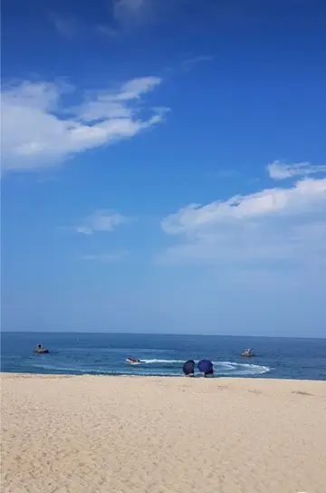 월송정카페 노바