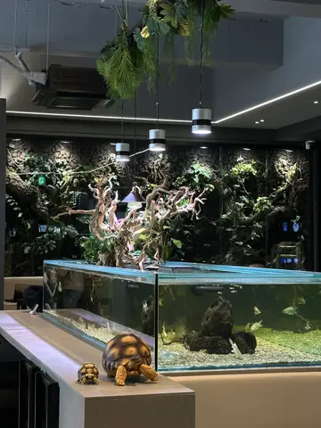 슬로우커피