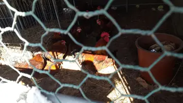 구암식당