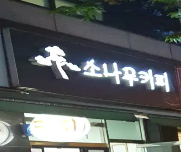 소나무커피