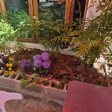 벚꽃연어스시 여좌점