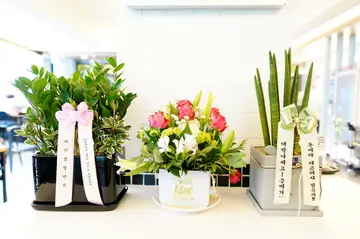 피슈마라홍탕 화곡점
